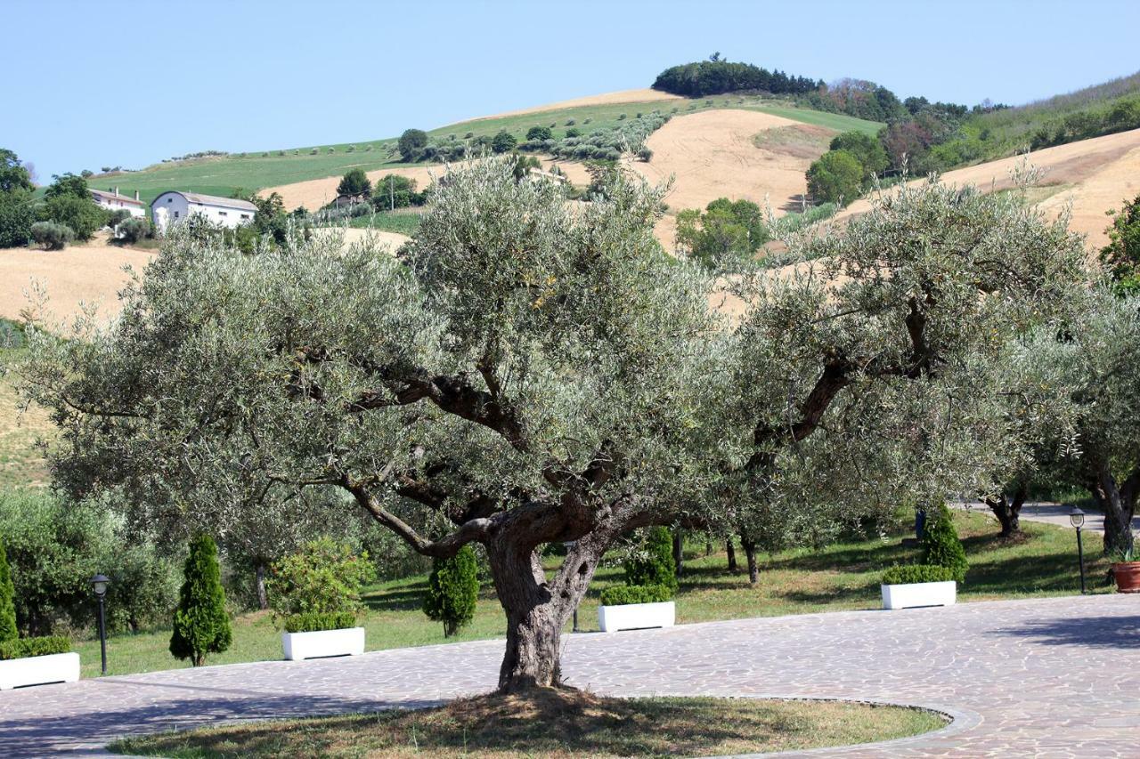 La Foggetta Casa di campagna